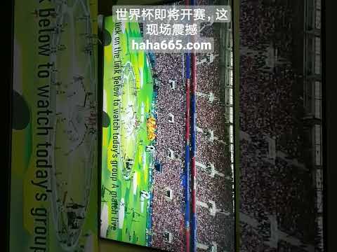 激战在即,埃弗顿力压,群雄,新葡京,新葡京app,新葡京娱乐,新普京赌场