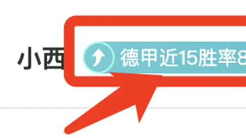 2025年世俱杯扩军至32队，已有9队锁定参赛席位